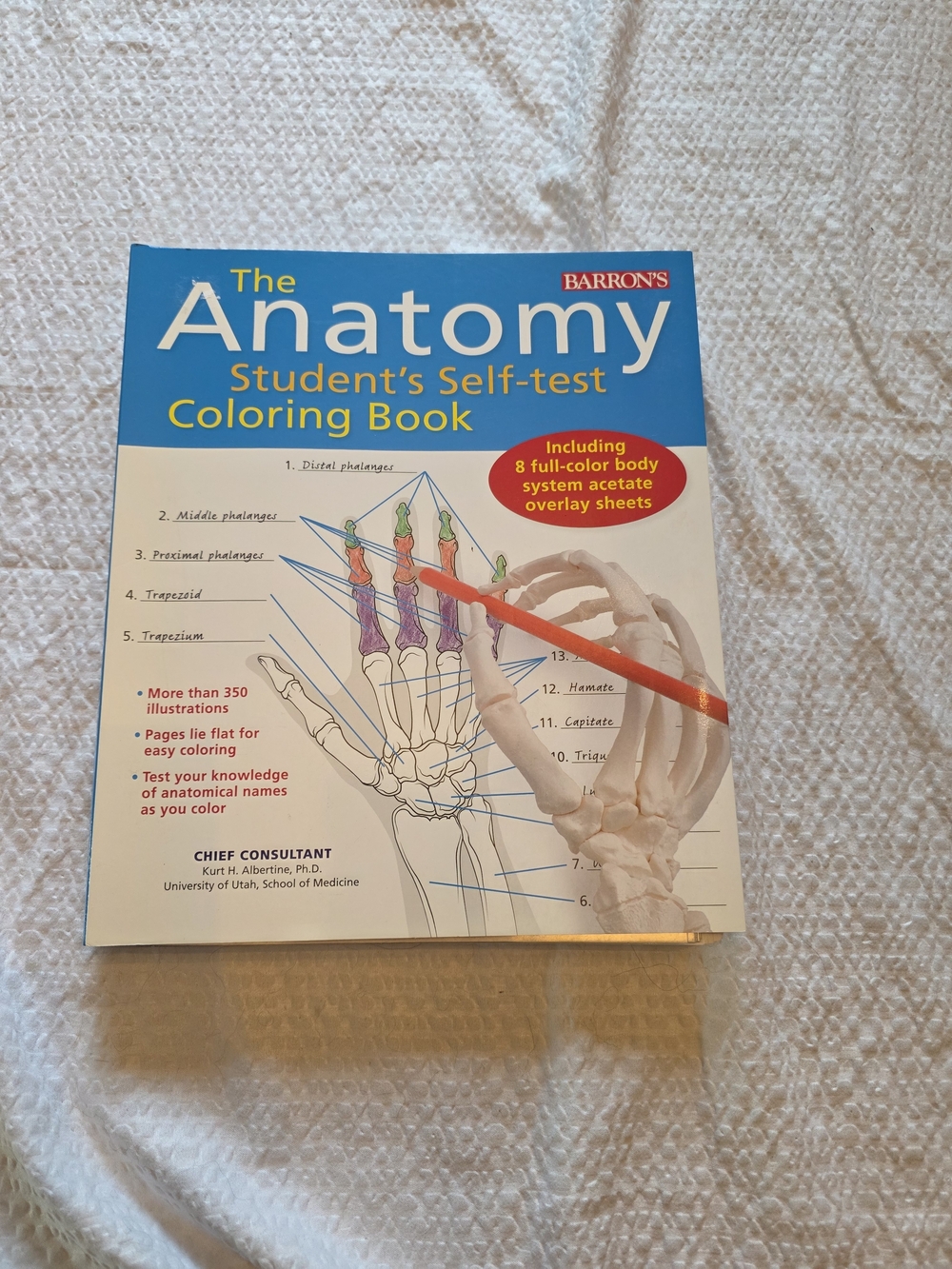 Barron's Anatomy Student's Self-test Coloring Book - Blue